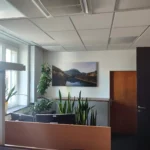 Bedruckte Akustik-Wandpaneele mit individuellem Motiv im Büro