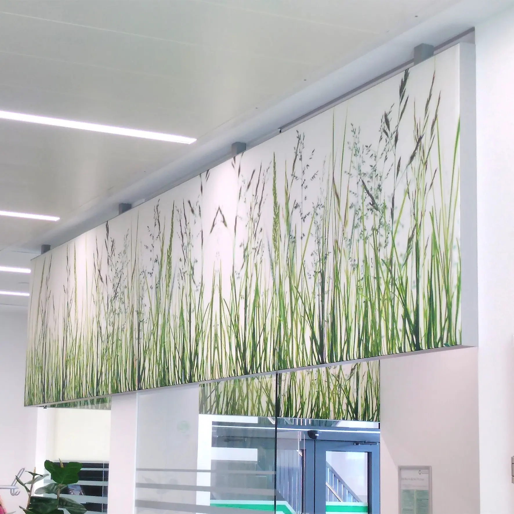 Deckenabhängung bedruckt für eine bessere Raumakustik