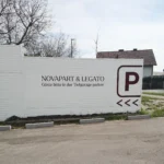 Vielfalt an Plotterschriften in verschiedenen Farben und Formen