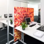 Farbig bedruckter Akustik-Raumteiler als Raumgestaltungselement in modernem Büro