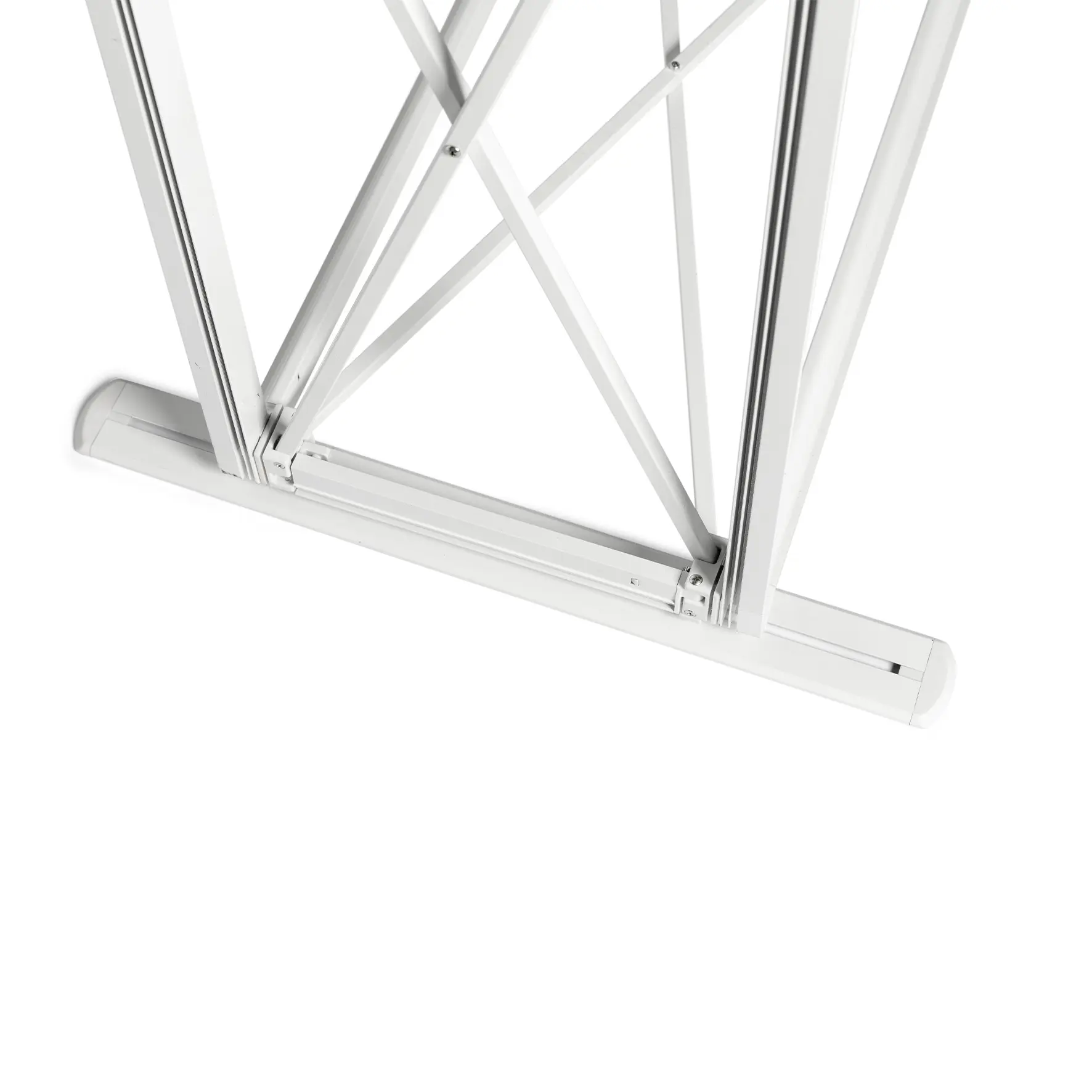 Detailaufnahme der Füße einer Spinnenwand